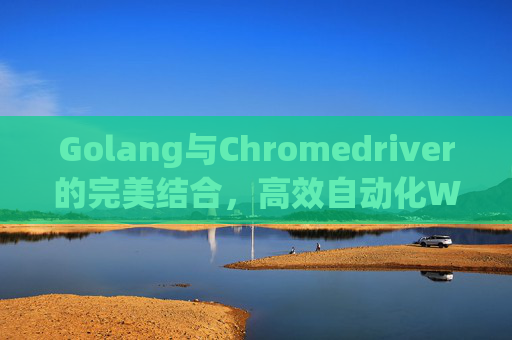 Golang与Chromedriver的完美结合，高效自动化Web测试与爬虫应用